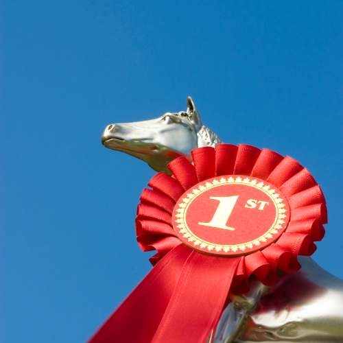 turnierschleifen-turnierpreis-online-kaufen-sport turnierschleifen-turnierpreis-online-bestellen-sport