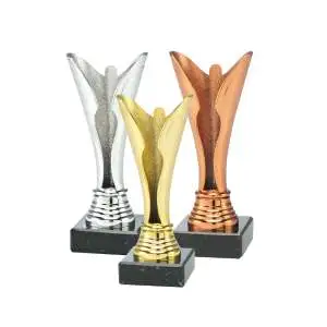 Pokale kaufen – Gold, Silber und Bronze Pokale mit Gravur bei Cleverpokale.de