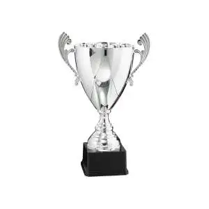 Silberpokale kaufen – Silber Pokale mit Gravur online bestellen bei Cleverpokale.de