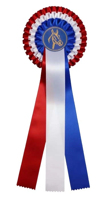 schleifen*-turnier turnierschleife