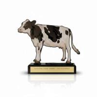 ehrenpreis-award-pokale-pokale-kaufen-cleverpokale.de (7)