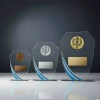 glas-wards-pokale-mit-logo-und-gravur-kaufen-cleverpokale (25)