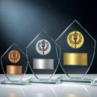 glas-wards-pokale-mit-logo-und-gravur-kaufen-cleverpokale (34)