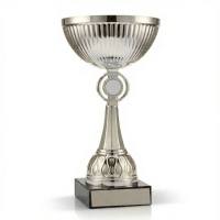 guenstige-pokale-kaufen-cleverpokale.de - 2025-12-28T100732.147 (1)