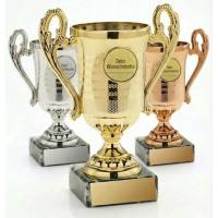 guenstige-pokale-kaufen-cleverpokale.de (15) (1)