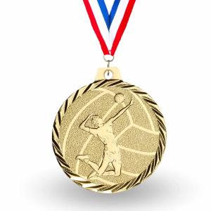 nz24-volley-medaillen-kaufen