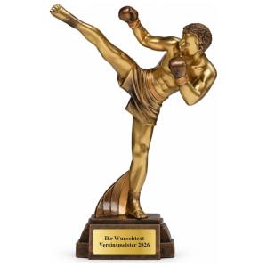 Kickbox Pokal Figur Kickboxer 290 mm mit Gravurschild ST-39649