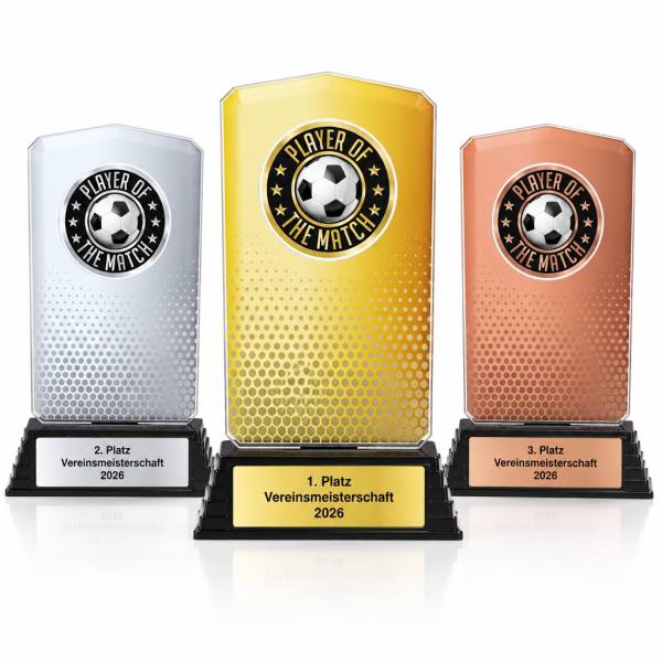Spieler des Spiels Acrylpokal mit Gravur