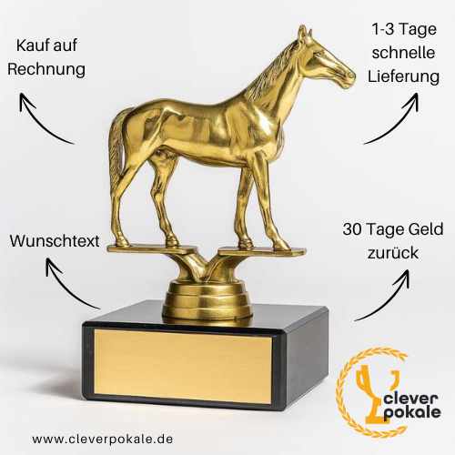 reit-sport-trophaeen-pokale-kaufen-bei-cleverpokale.de (4)