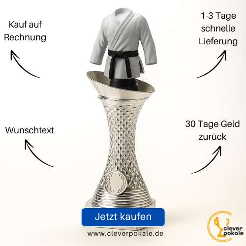 kampfsport-pokale-jetzt-kaufen-bei-cleverpokale.de