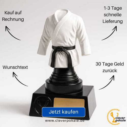 kampfsport-pokale-jetzt-kaufen-bei-cleverpokale.de