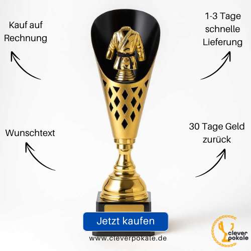 kampfsport-pokale-jetzt-kaufen-bei-cleverpokale.de