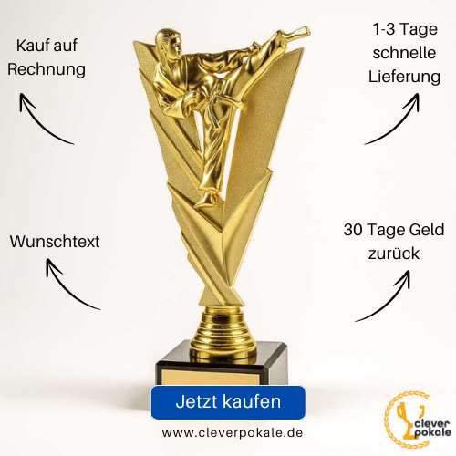 kampfsport-pokale-jetzt-kaufen-bei-cleverpokale.de