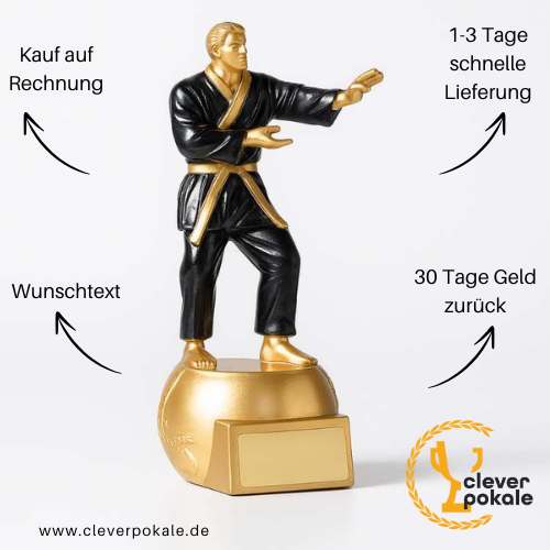 kampfsport-pokale-kaufen-bei-cleverpokale.de (2)