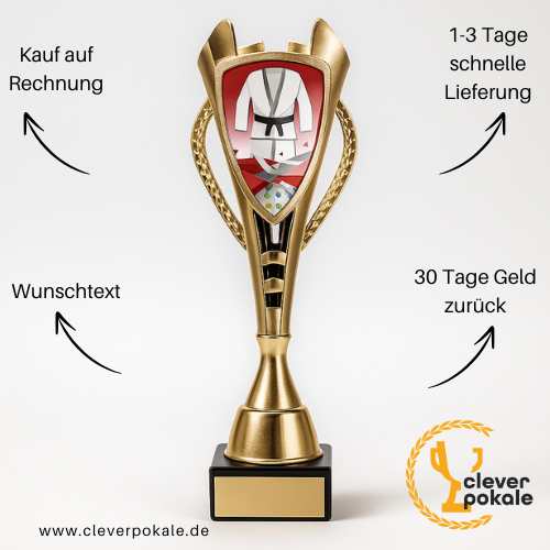 kampfsport-pokale-pokale-kaufen-bei-cleverpokale.de