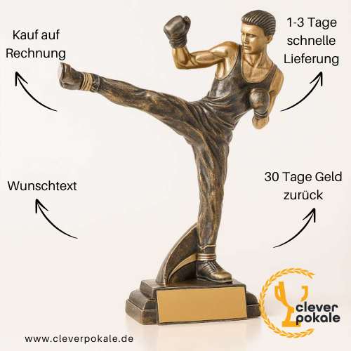 kickbox-pokale-kaufen-bei-cleverpokale.de