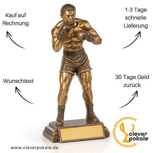 box-pokale-kaufen-bei-cleverpokale.de