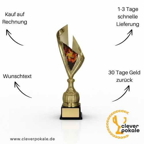 volleyball-pokale-pokale-kaufen-bei-cleverpokale.de