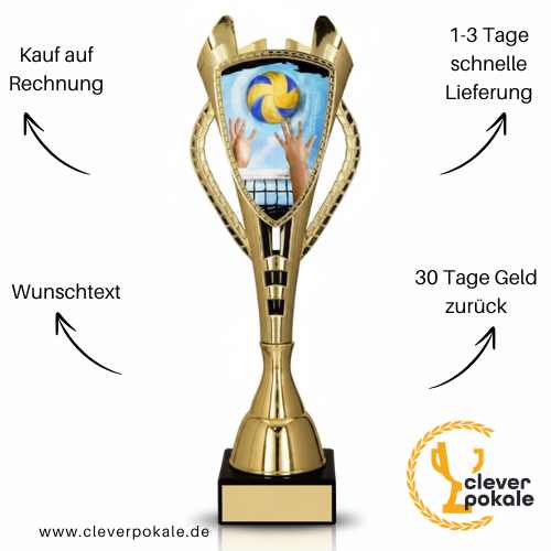 volleyball-pokale-pokale-kaufen-bei-cleverpokale.de