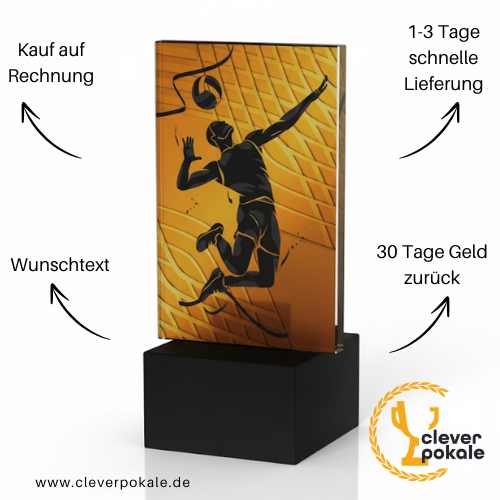 volleyball-pokale-pokale-kaufen-bei-cleverpokale.de