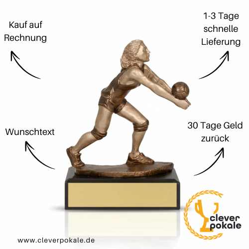 volleyball-pokale-pokale-kaufen-bei-cleverpokale.de