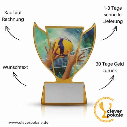 volleyball-pokale-pokale-kaufen-bei-cleverpokale.de
