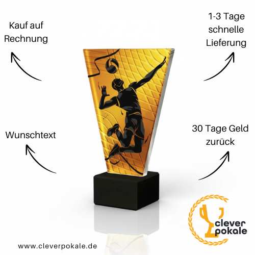 volleyball-pokale-pokale-kaufen-bei-cleverpokale.de